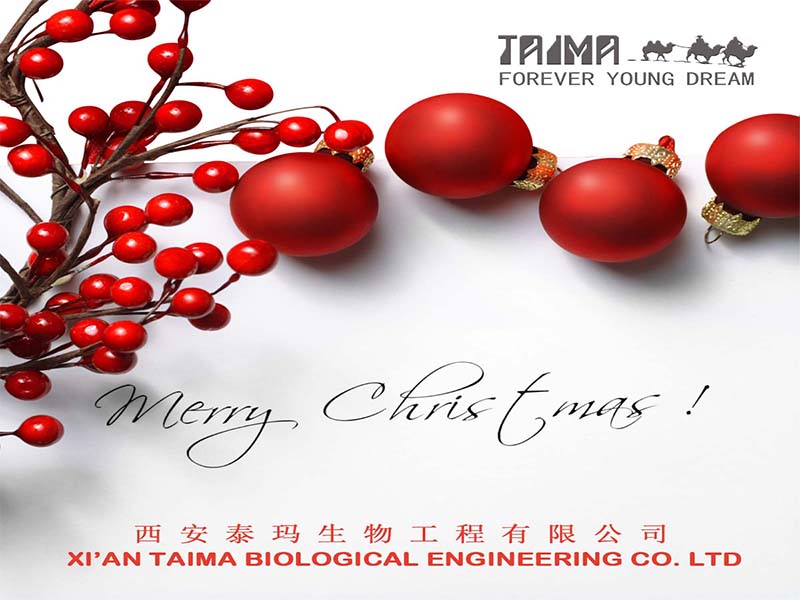Merry Christmas 2019-Xi'an Taima Amy