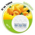 Xi`an Taima Goldlen Mango Flavor